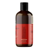 Shampoo para Barba Don Alcides Barba Negra 450ml — DON ALCIDES
