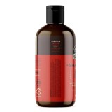 Shampoo para Barba Don Alcides Barba Negra 450ml — DON ALCIDES