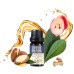Óleo de Barba Sobrebarba Jungle Boogie (10ml) - Edição de Viagem Óleo de Barba Sobrebarba Jungle Boogie (10ml) - Edição de Viagem