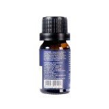 Óleo de Barba Sobrebarba Jungle Boogie 10ml - Edição de Viagem — SOBREBARBA